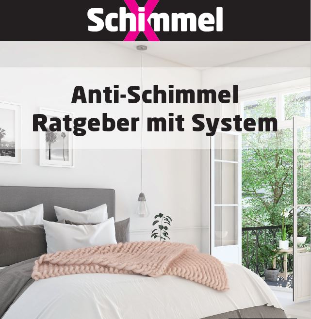 SchimmelX Flyer